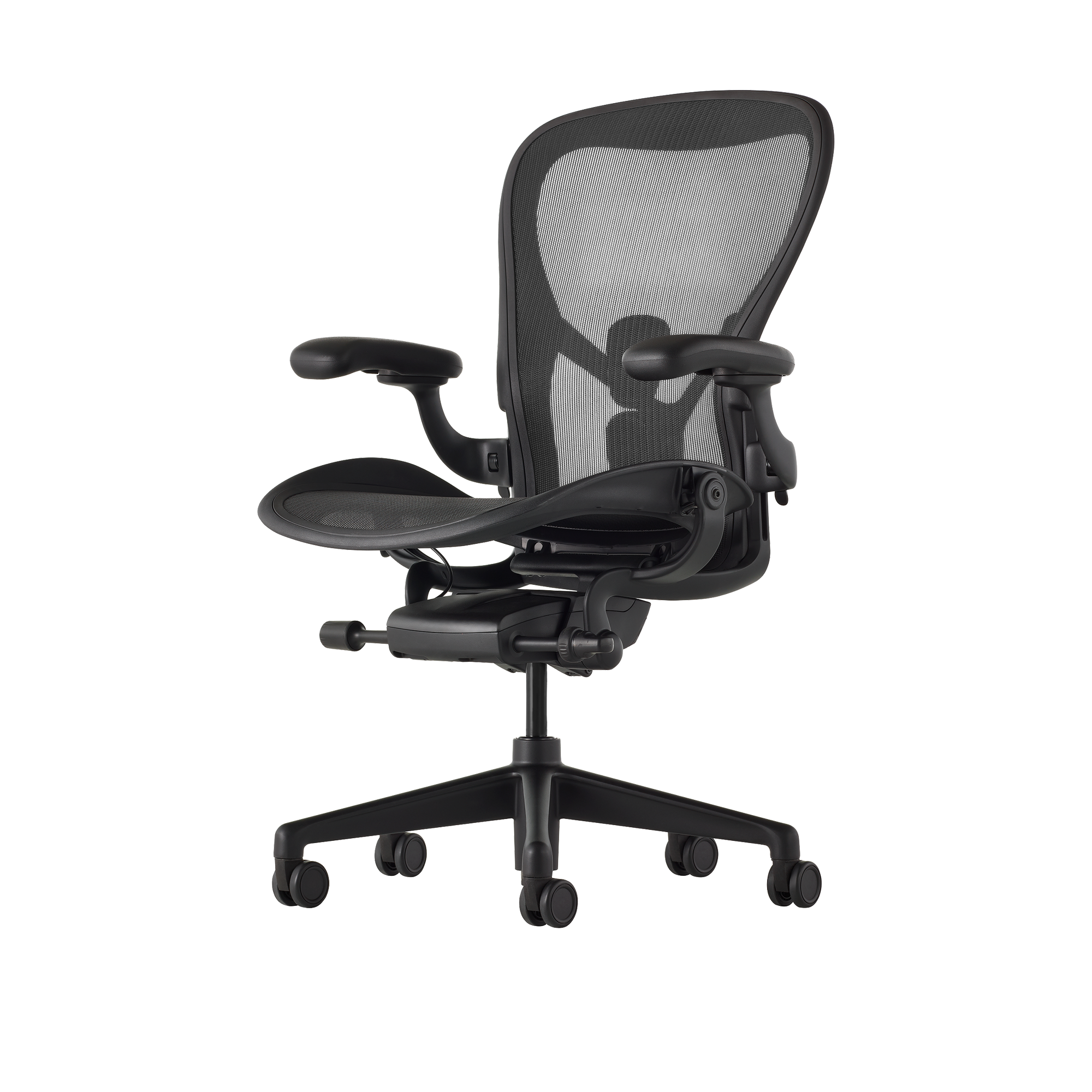 Aeron Onyx Size B