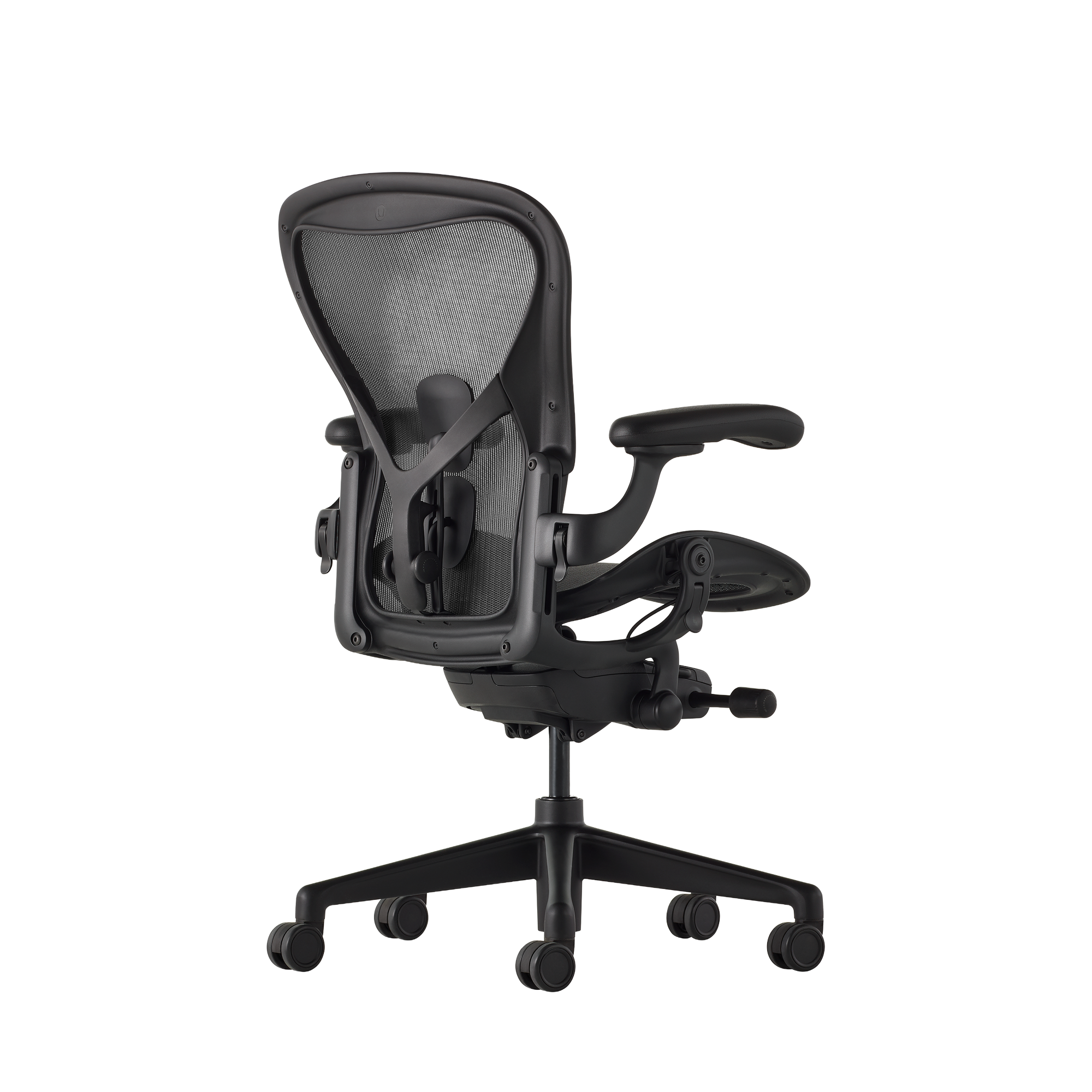Aeron Onyx Size C